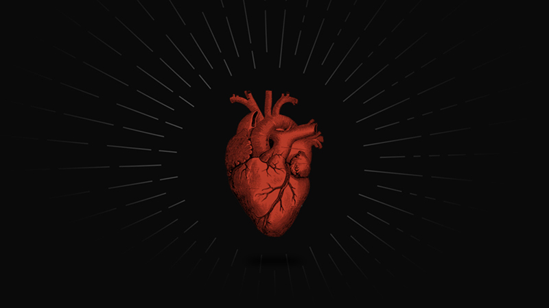 Red anatomical heart illustration on a black background with radiating lines — symbolizing passion and tradition in a brewery projection.